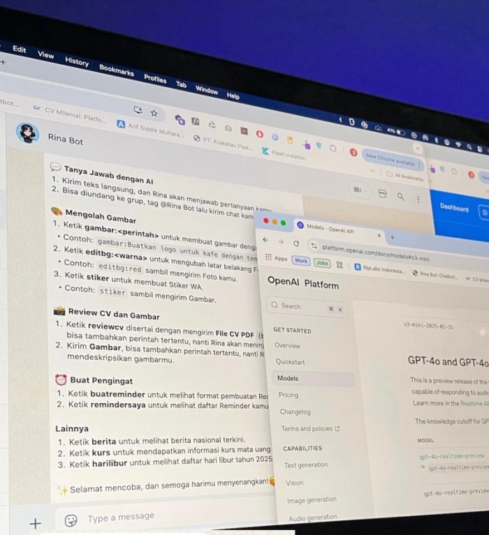WhatsApp Chatbot Rina Bot – AI Personal Assistant